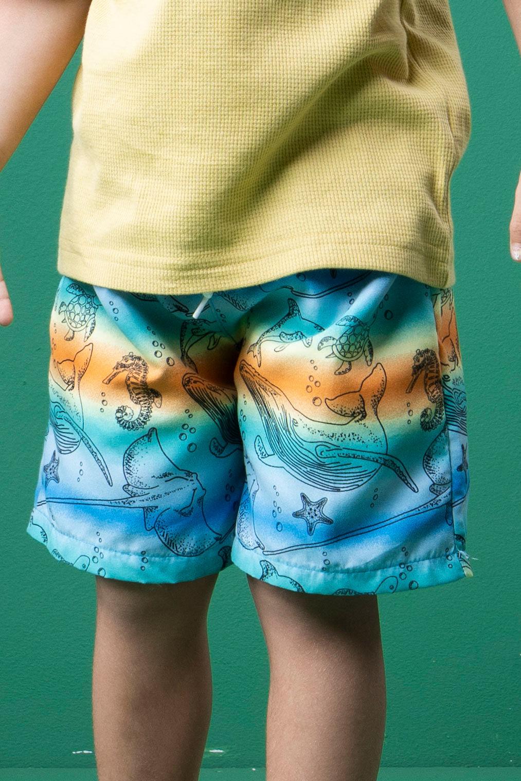 Boardshorts